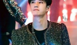 王艺博个人资料爆料视频,从个人资料到爆料视频的全方位解析