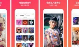 百色今日爆料新闻直播视频,直播视频揭示最新热点事件