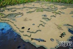 地下蚁国最新爆料,最新爆料揭示神秘蚁群世界