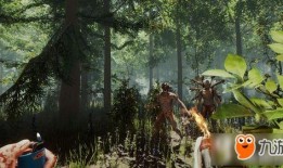 迷失森林在线观看,探寻未知世界的奇幻之旅