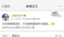 蚊香爆料女友视频播放网站,蚊香女友视频播放网站事件，真相令人震惊！