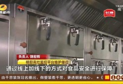 厨房视频爆料大全集,视频爆料大全集深度解析
