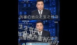 新闻娱乐直播在线观看,新闻娱乐一网打尽，在线观看新体验