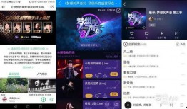 娱乐爆料君背景音乐叫什么,揭秘热门事件背后的背景音乐之谜