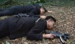 同盟第21集在线观看,揭秘暗流涌动的阴谋与背叛