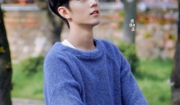 娱乐大爆料张新成周震南,揭秘幕后故事与精彩瞬间