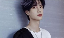 王一博最新消息爆料,揭秘明星背后的故事与挑战