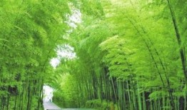 竹林小区新闻爆料,业主爆料惊人真相！