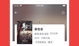 东北打工爆料视频播放网站,揭秘热门视频网站背后的故事