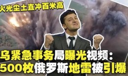 俄罗斯今日爆料视频大全,视频大全背后的真相与内幕