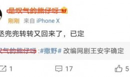 王安宇爆料者是谁啊视频,真相背后的故事