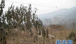 重庆奉节县爆料案件最新,案情细节及最新进展揭秘”