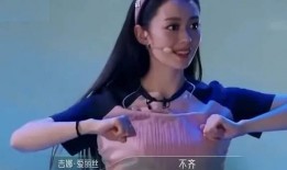 吉娜团队辟谣爆料了吗视频,真相揭秘，还原事件原貌