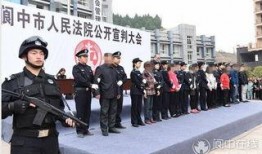 四川讨薪新闻爆料视频,视频揭露农民工艰辛维权历程