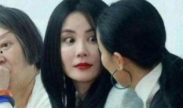 王菲的闺蜜爆料视频