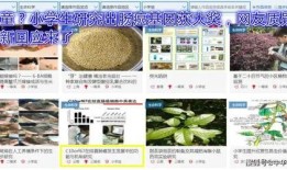 云南小学爆料最新消息,揭秘校园内幕，真相令人震惊！