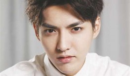 娱乐圈爆料君罗云熙,娱乐圈爆料君揭秘，明星背后的故事