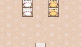 探戈爆料小骨头视频下载,小骨头视频下载背后的精彩故事