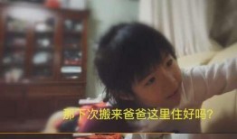 郑恺被妈妈爆料了吗视频,揭秘明星家庭温馨瞬间