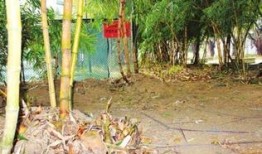 竹林小区新闻爆料,业主爆料惊人真相！