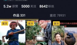 农民网红爆料视频播放下载,视频播放下载背后的惊人数据揭秘