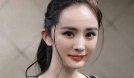 娱乐圈女明星被爆料,真相与谣言的交织