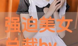 美女爆料行业老板视频播放,美女爆料视频背后的真相与争议