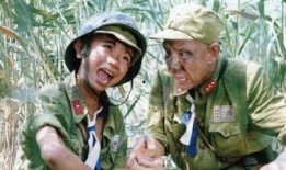 三毛从军记在线观看,烽火岁月中的青春传奇