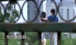 在线观看夏家,家族荣耀与情感纠葛的交织画卷