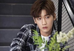 王玉雯恋情爆料了吗视频,视频揭秘甜蜜瞬间