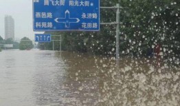 涿州洪水最新爆料信息网,实时追踪，揭秘洪水真相