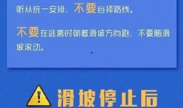珠海每日爆料新闻最新消息,突发事件引发全城关注