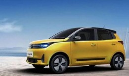 雷丁电车爆料视频最新版,揭秘神秘功能与性能升级