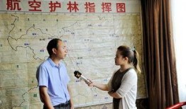 田林新闻爆料事件最新,真相与争议交织的舆论漩涡