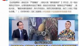 凤梨爆料视频大全集免费观看,独家揭秘，免费畅享精彩瞬间
