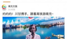 南充自媒体爆料事件视频,真相与争议交织