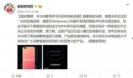 陈先生游戏爆料视频