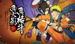 宗师李洛克第一波爆料视频,武术传奇背后的故事