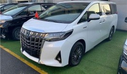 爆料丰田埃尔法视频,视频爆料揭示豪华MPV的神秘面纱