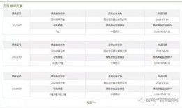 西安科技路最新爆料公示,揭秘科技前沿动态与未来规划