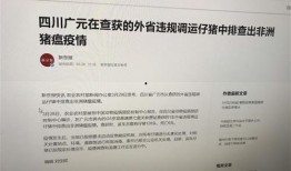 猪瘟最新爆料新闻报道,揭秘病毒传播途径与防控措施