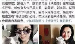 天涯爆料蒋艳被打视频,天涯爆料引发热议