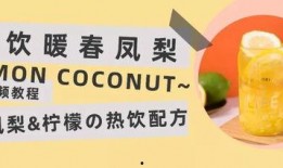 凤梨爆料视频大全集免费观看,独家揭秘，免费畅享精彩瞬间
