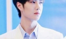 王艺博个人资料爆料视频,从个人资料到爆料视频的全方位解析