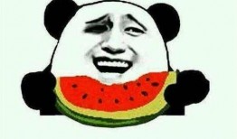 一个娱乐圈吃瓜群众的,揭秘吃瓜群众的幕后故事