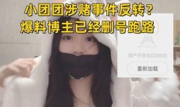 博主爆料干妈视频大全,博主爆料背后的精彩瞬间