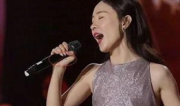 明星爆料假唱歌手视频,明星曝光假唱歌手现场视频引发热议