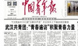 青年报今日头条爆料电话,揭秘今日头条神秘电话背后的真相