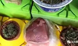 童使在线观看土豆,土豆平台上的童年回忆之旅