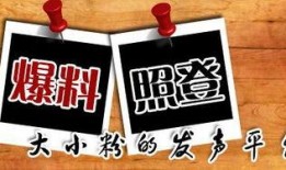 重庆新闻爆料者,揭秘城市热点事件背后的真相